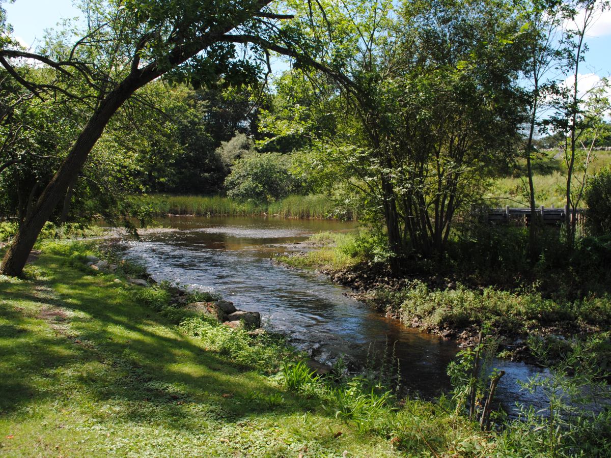 Saugus Iron Works&nbsp;Walkabout